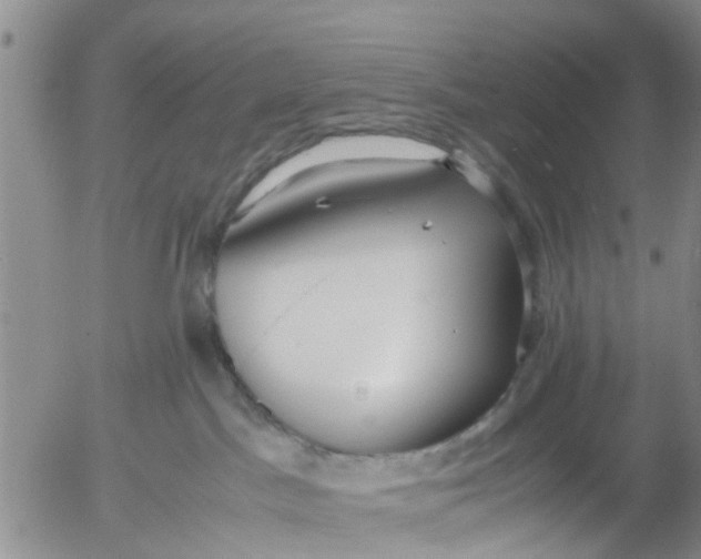 X0000053070045200508011951