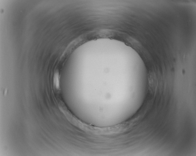 X0000053070046200508011951