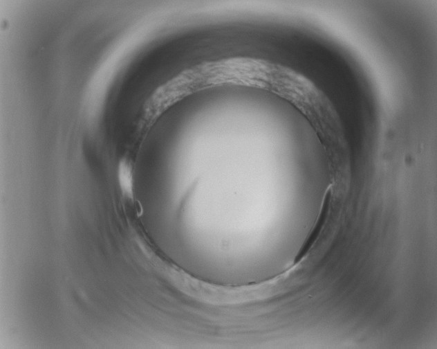 X0000053070047200508011951