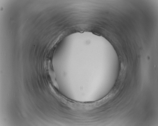 X0000053070048200508011951