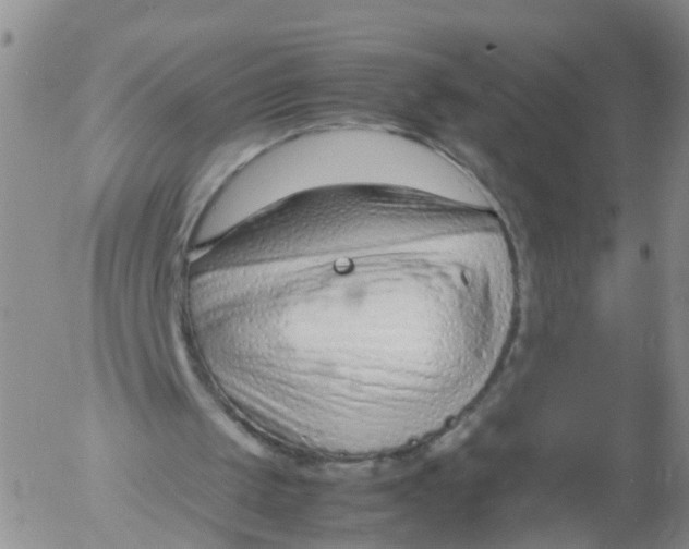 X0000053070049200508011950