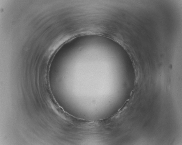 X0000053070050200508011950