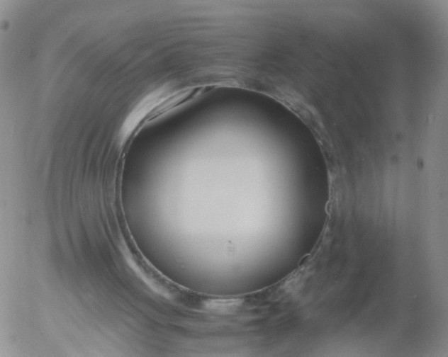 X0000053070051200508011950