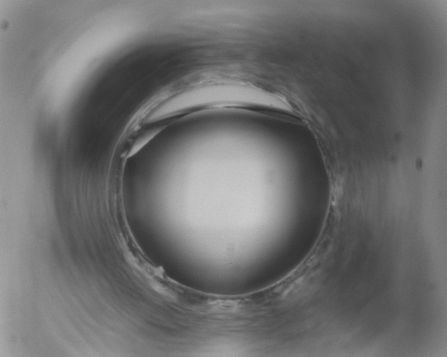 X0000053070052200508011951