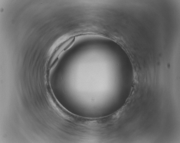 X0000053070054200508011951