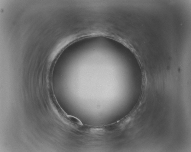 X0000053070055200508011951