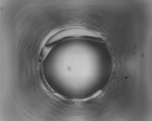 X0000053070056200508011951