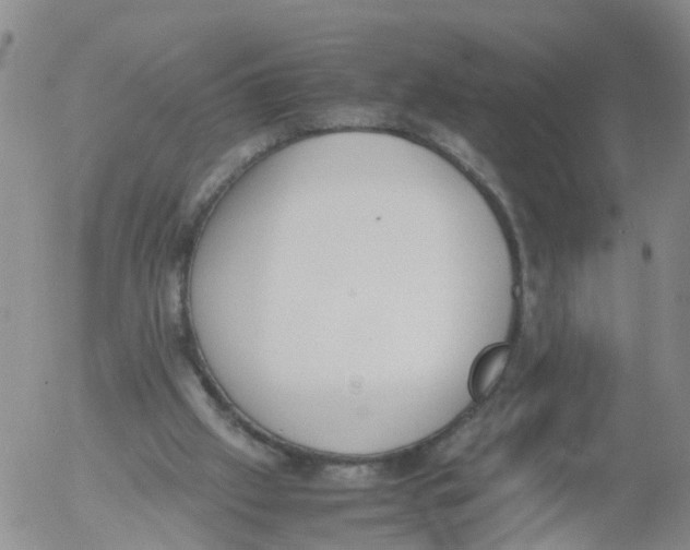 X0000053070057200508011951