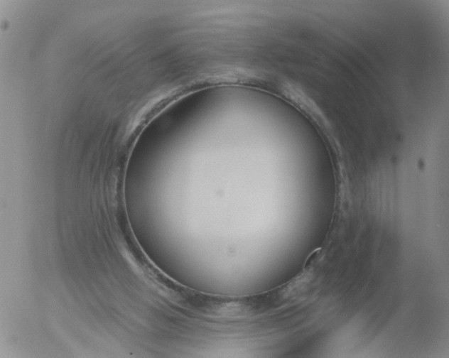 X0000053070058200508011951