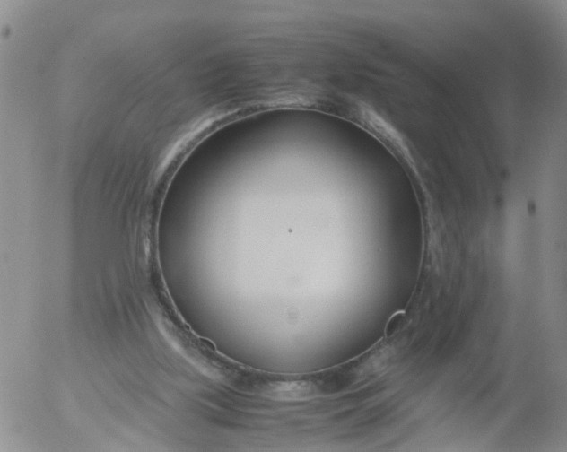 X0000053070059200508011951