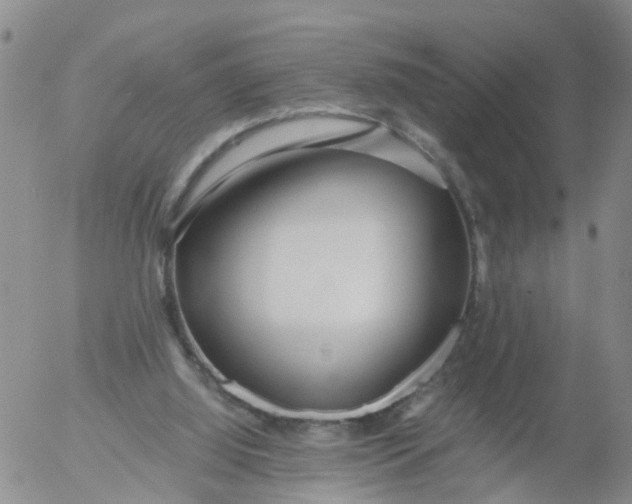 X0000053070060200508011951