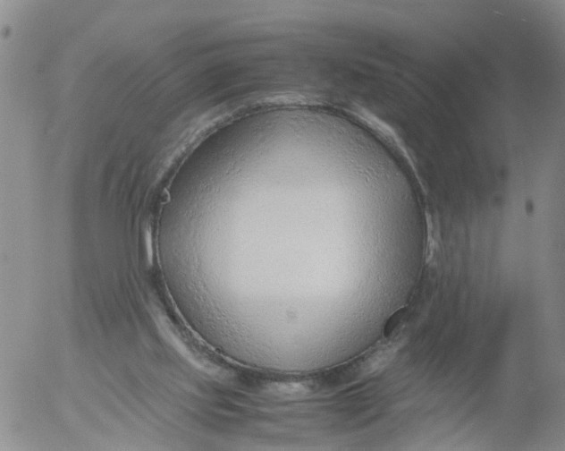 X0000053070061200508011951