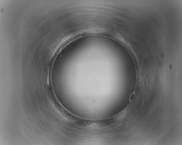 X0000053070062200508011951