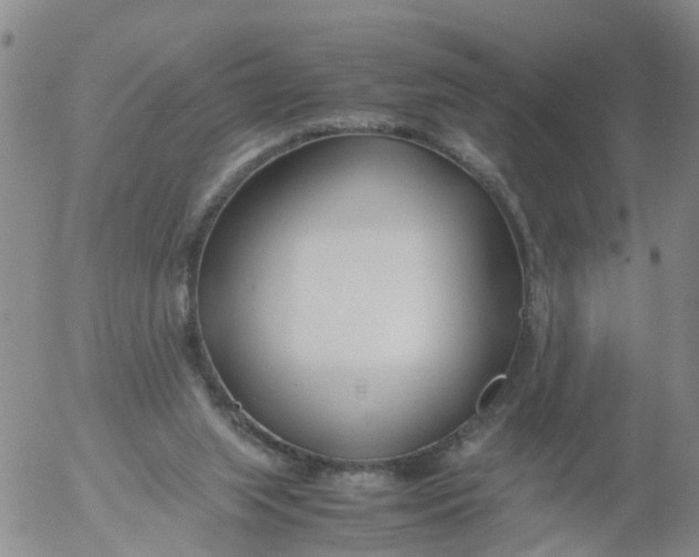 X0000053070063200508011951