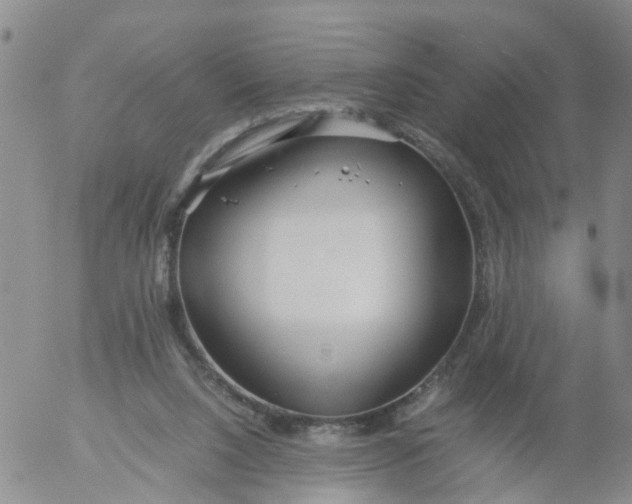 X0000053070064200508011951