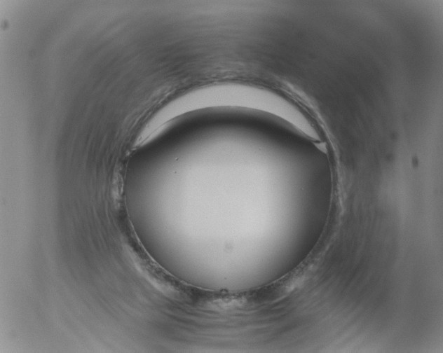 X0000053070065200508011951