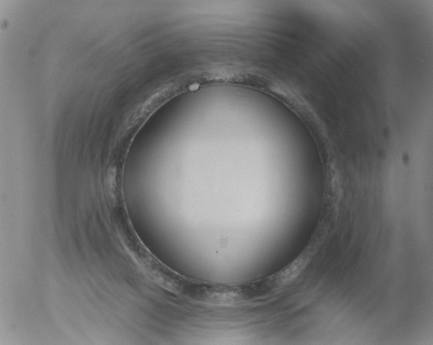 X0000053070066200508011951