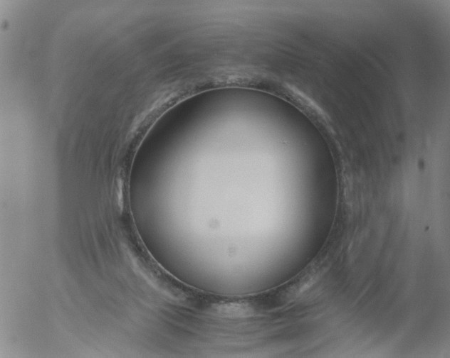 X0000053070067200508011951