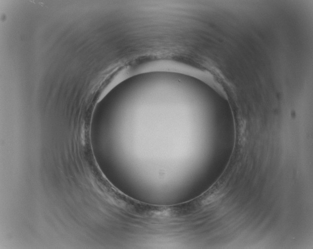 X0000053070068200508011951