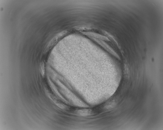 X0000053070069200508011951