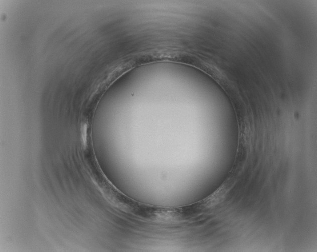 X0000053070070200508011951