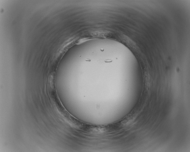 X0000053070071200508011951