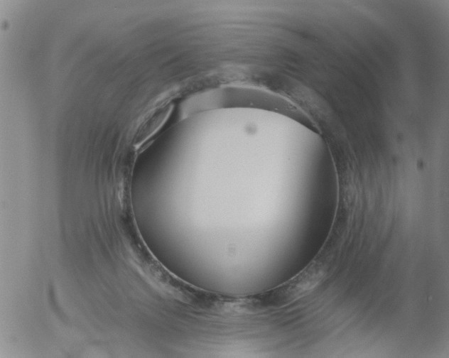 X0000053070072200508011951