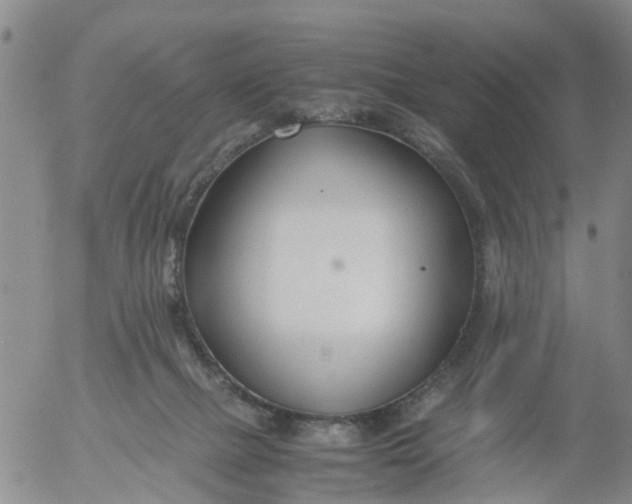 X0000053070073200508011951