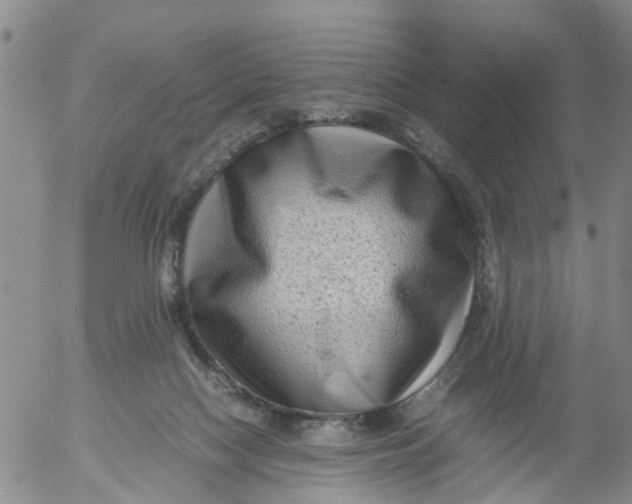 X0000053070074200508011951