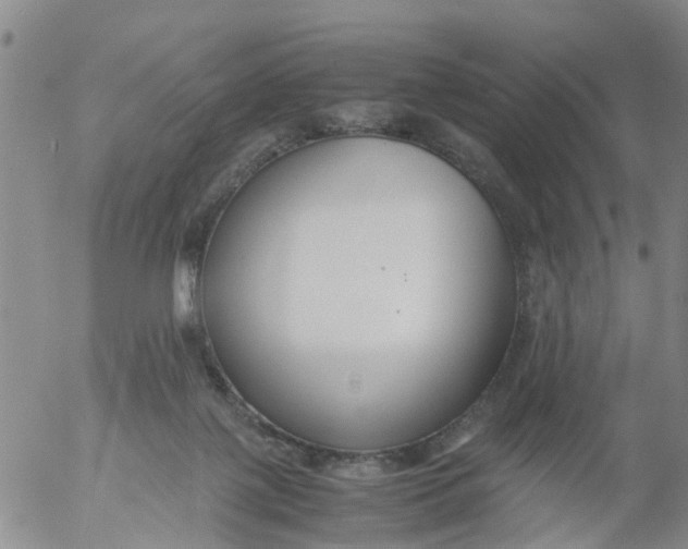 X0000053070075200508011951