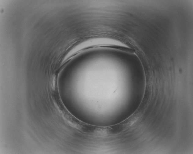 X0000053070076200508011951