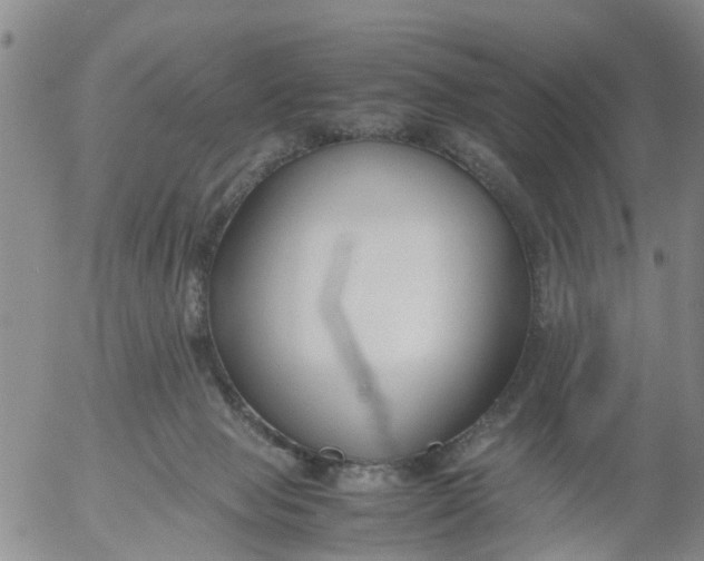 X0000053070077200508011951