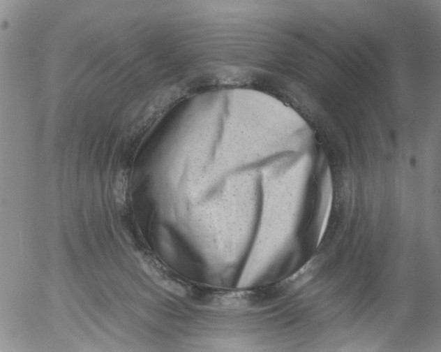 X0000053070078200508011951