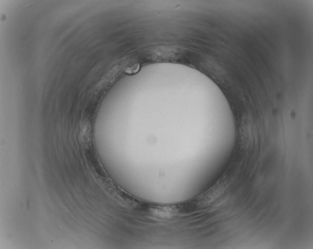 X0000053070079200508011951