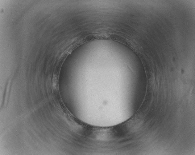 X0000053070081200508011951