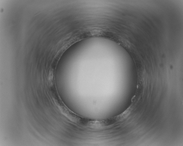 X0000053070082200508011951