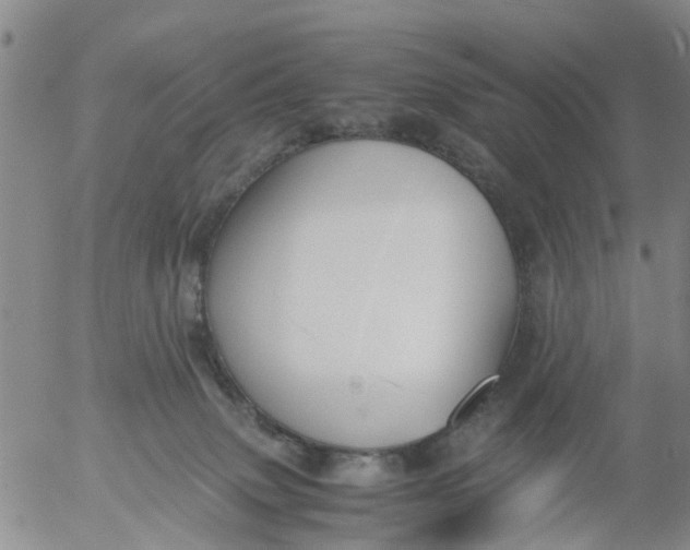 X0000053070083200508011951