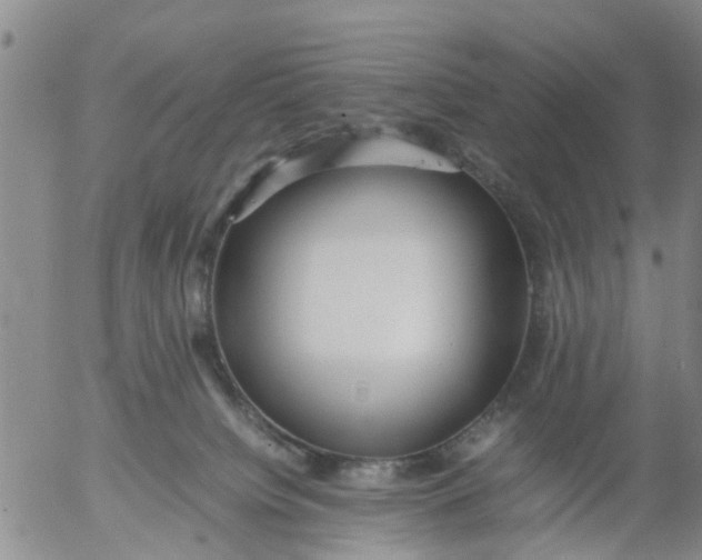 X0000053070084200508011951