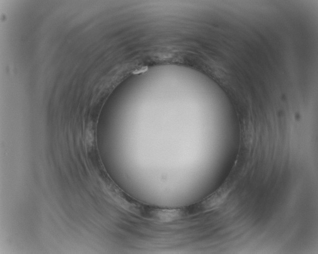 X0000053070085200508011951