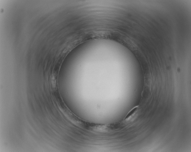 X0000053070086200508011951