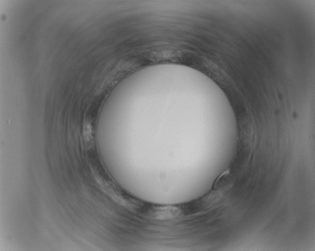 X0000053070087200508011951