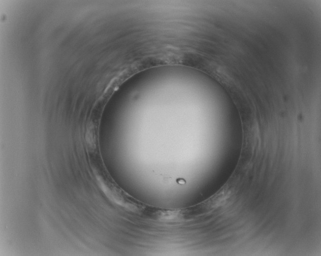 X0000053070088200508011951