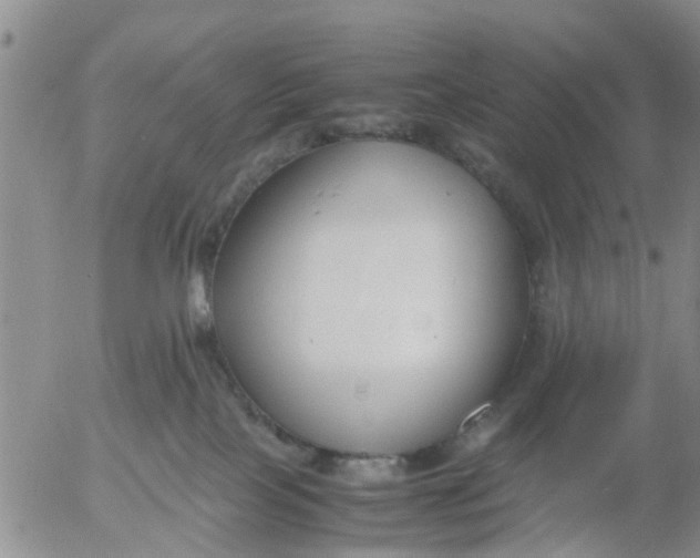 X0000053070089200508011951