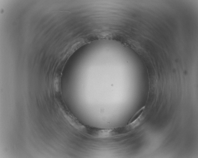 X0000053070090200508011951