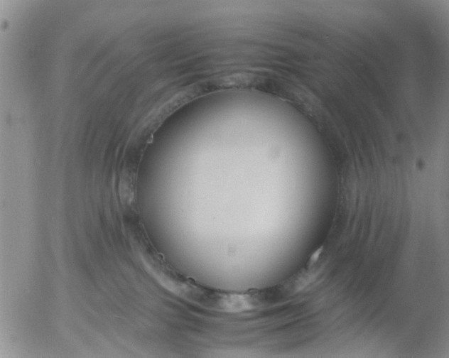 X0000053070091200508011951