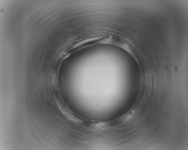 X0000053070092200508011951