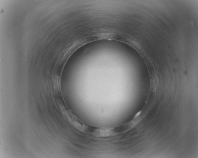 X0000053070093200508011951