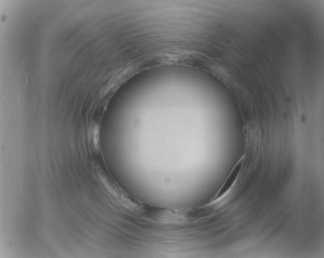 X0000053070094200508011951