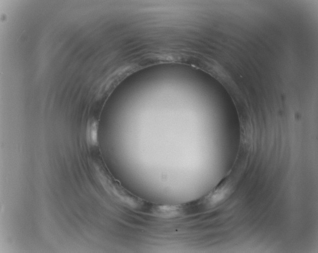 X0000053070095200508011951