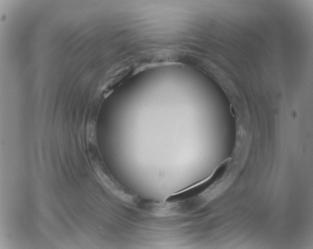 X0000053070096200508011951